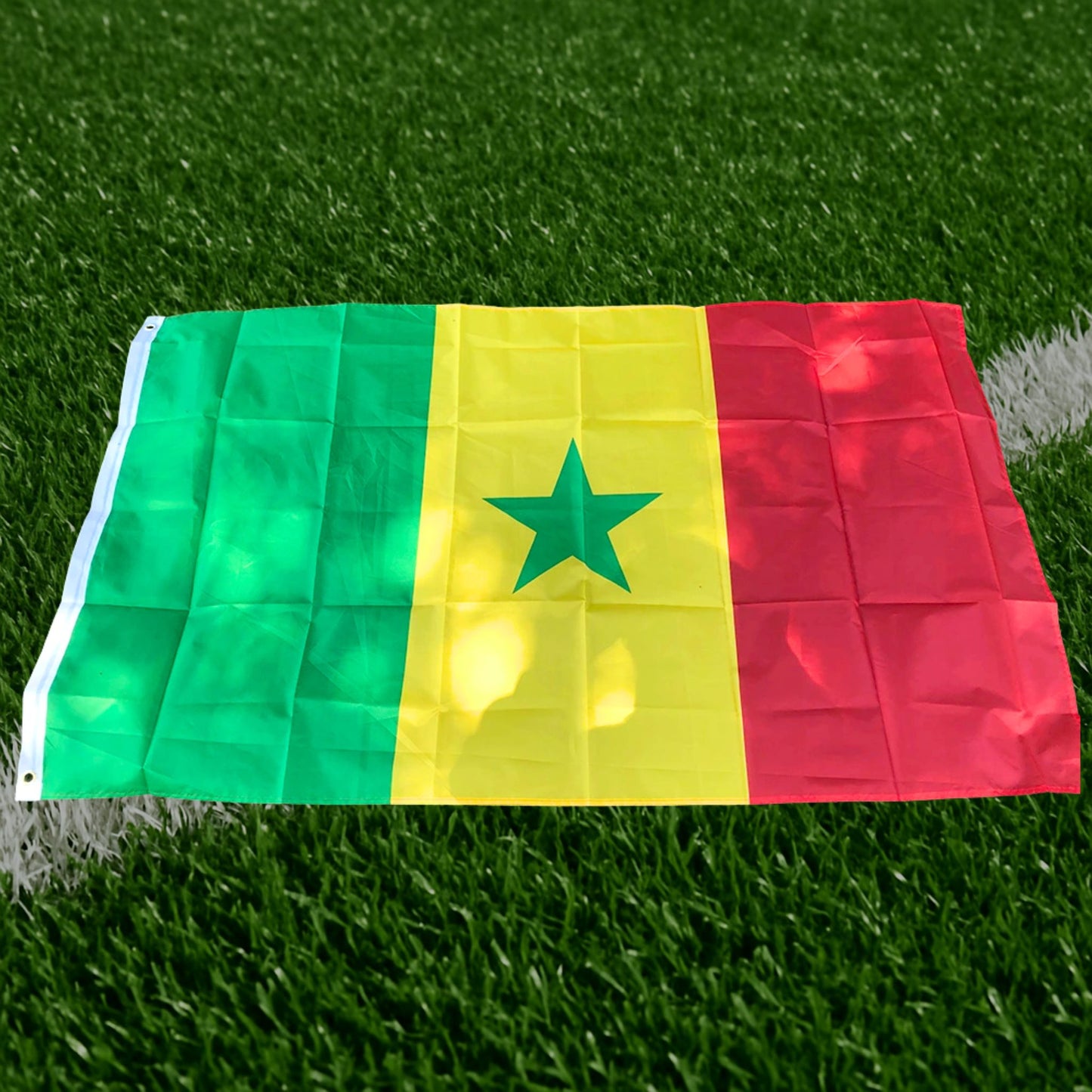 Drapeau Sénégal - Édition Fan Nation