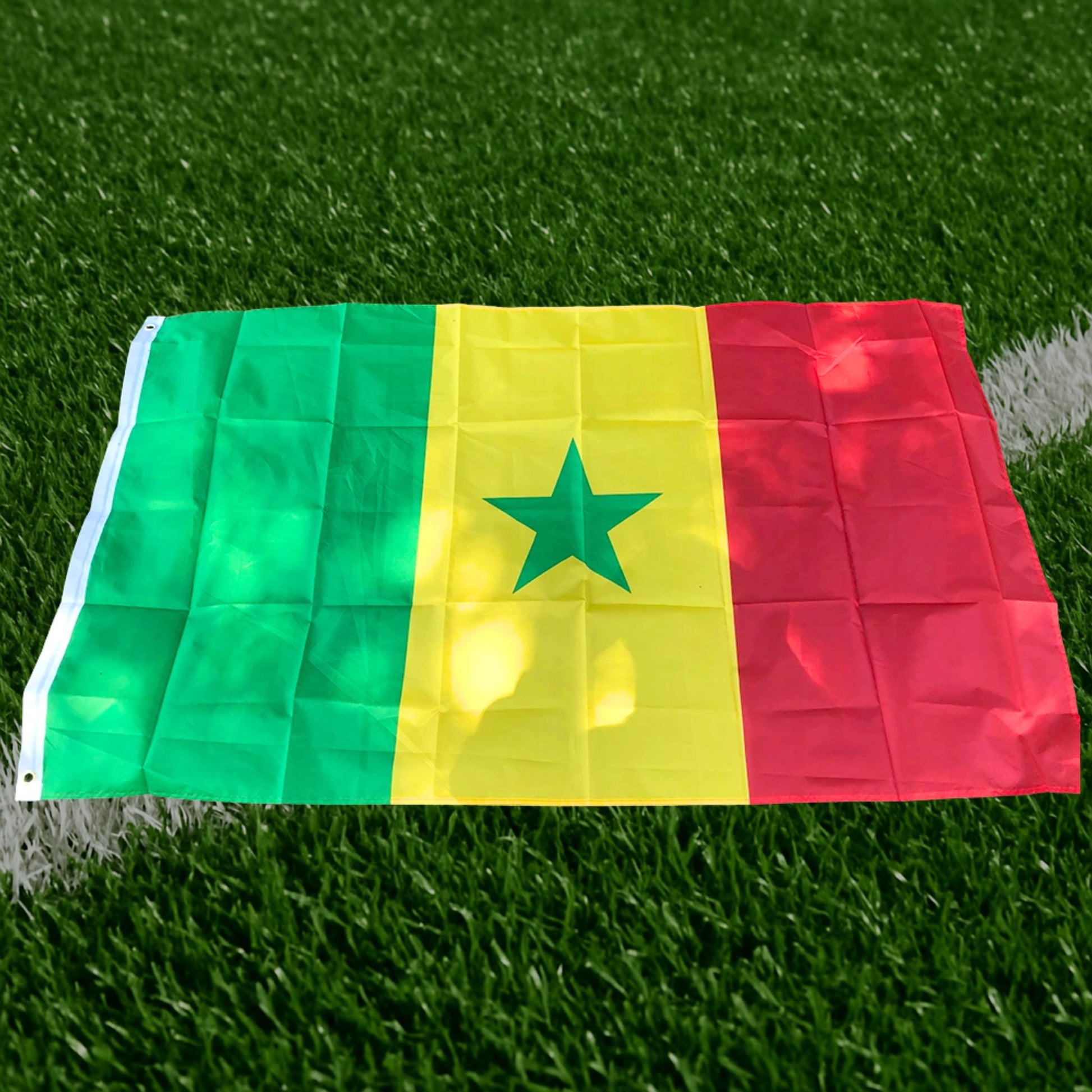 Drapeau Sénégal - Édition Fan Nation