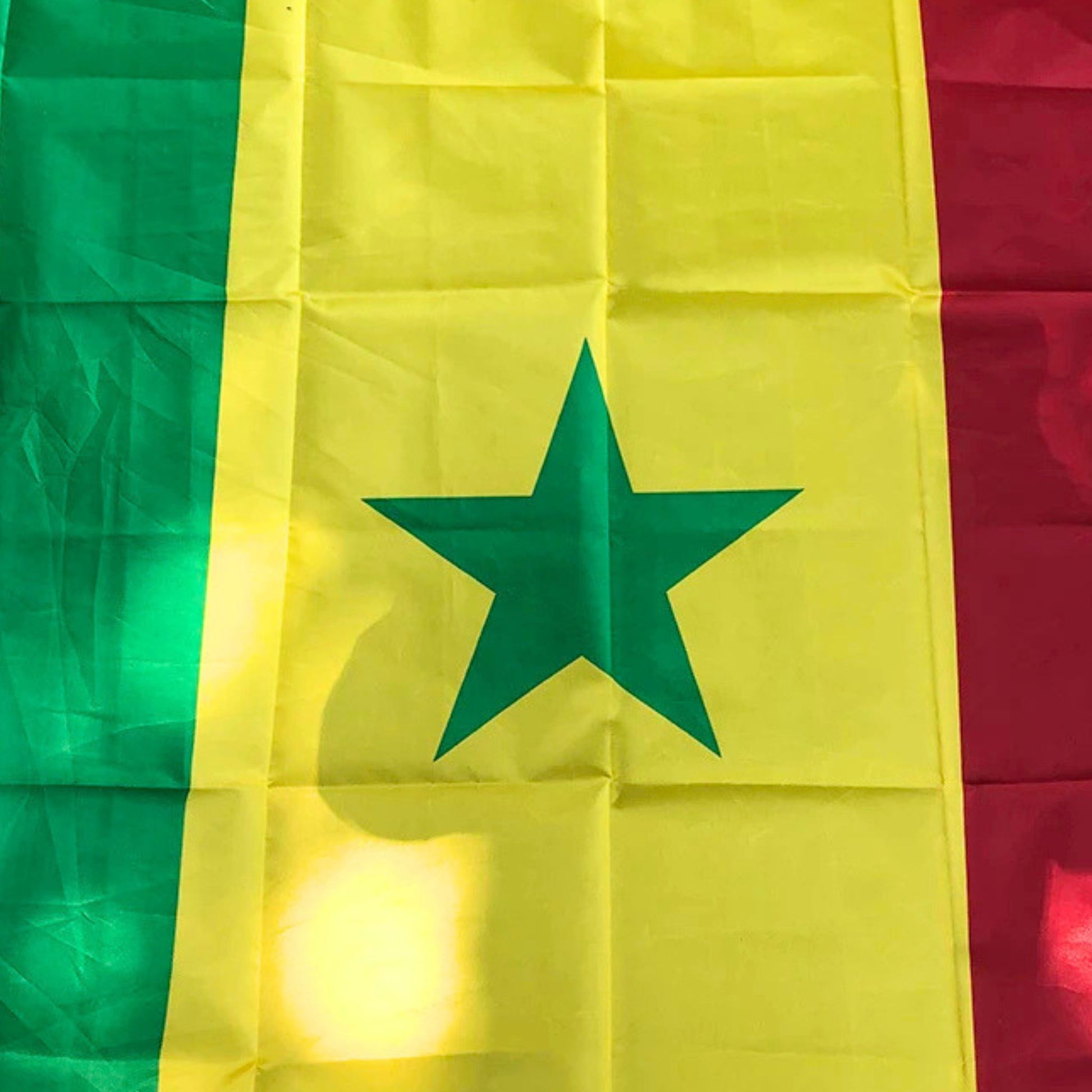 Drapeau Sénégal - Édition Fan Nation