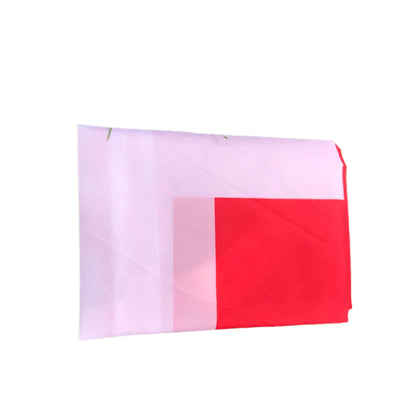 Drapeau Suisse - Édition Fan Nation