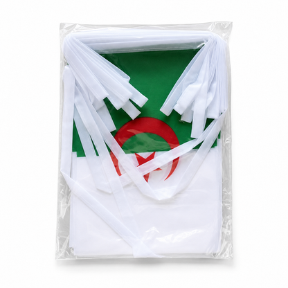 Banderole Algérie - CDM 2026