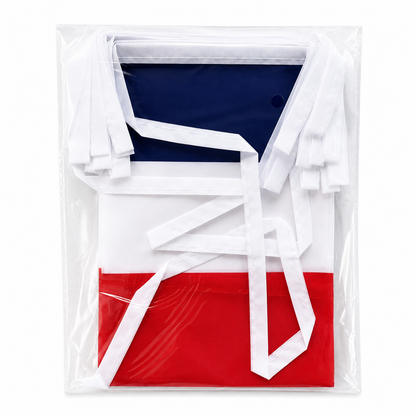 Banderole France - CDM 2026