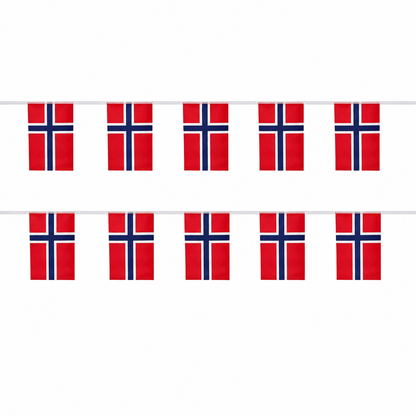 Banderole Norvège - CDM 2026