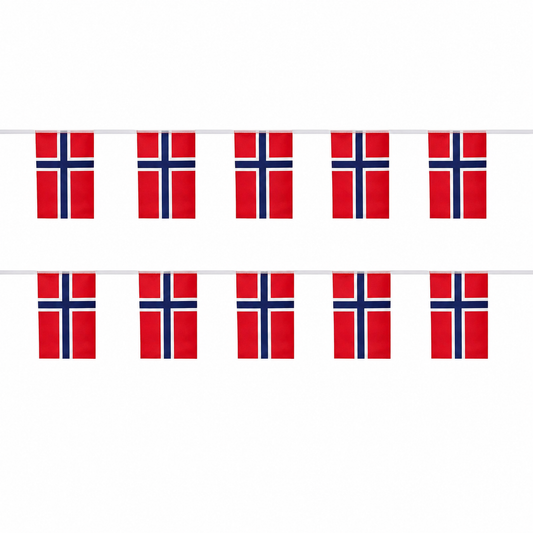 Banderole Norvège - CDM 2026