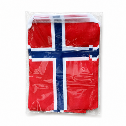 Banderole Norvège - CDM 2026