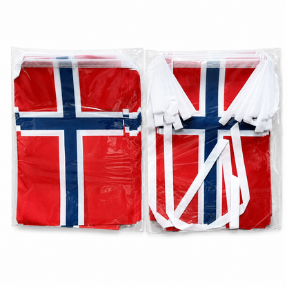 Banderole Norvège - CDM 2026