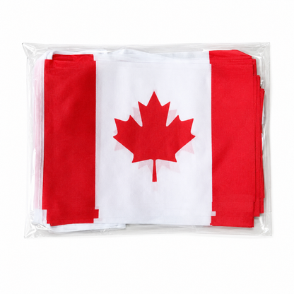 Banderole Canada - CDM 2026