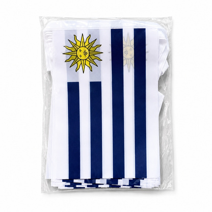 Banderole Uruguay - CDM 2026