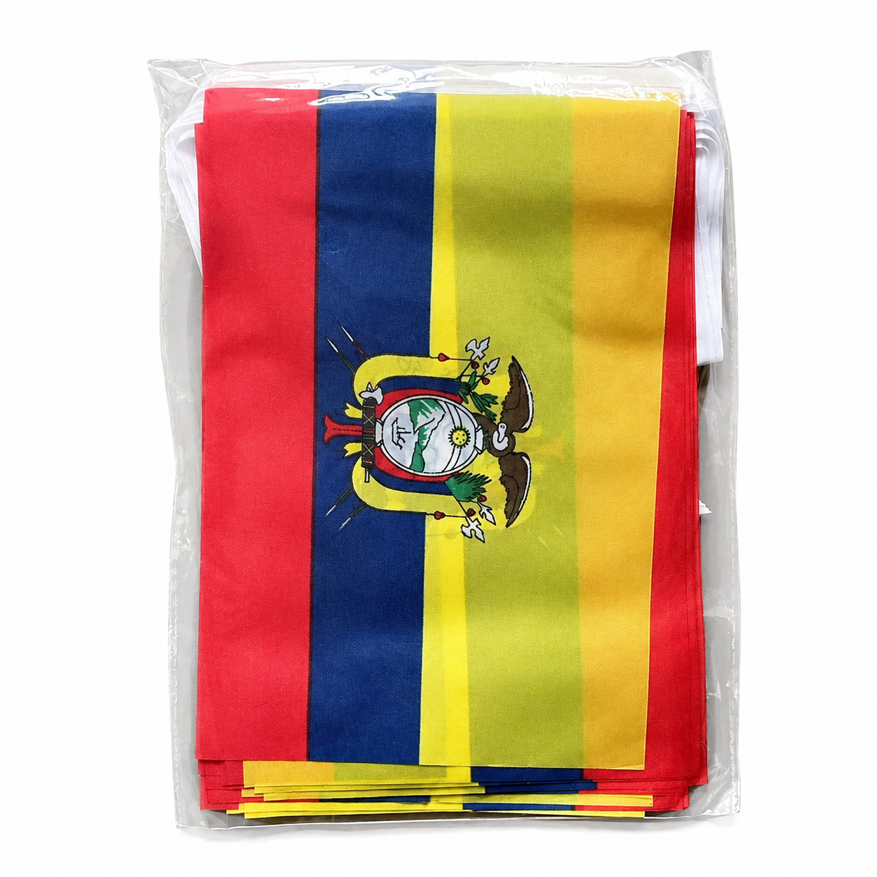 Banderole Équateur - CDM 2026