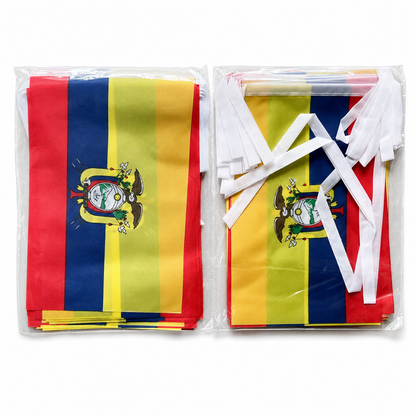 Banderole Équateur - CDM 2026