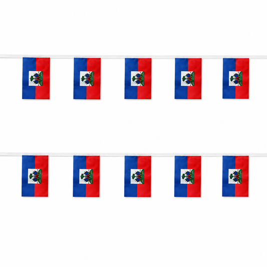 Banderole Haïti - CDM 2026