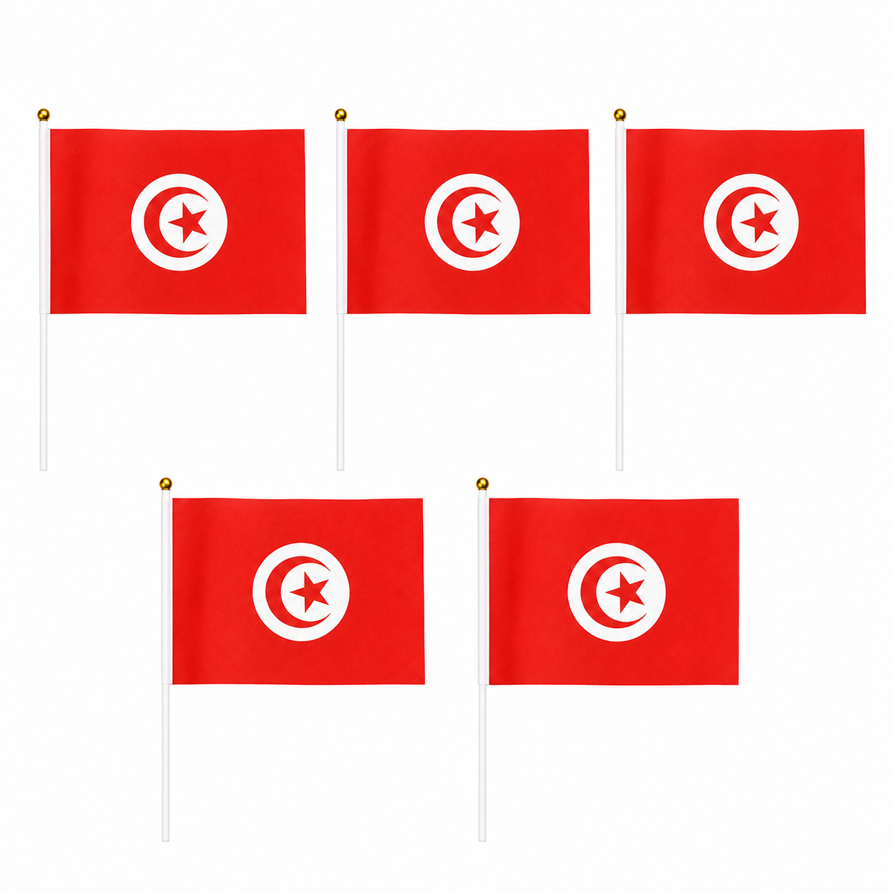 Drapeaux à Main Tunisie