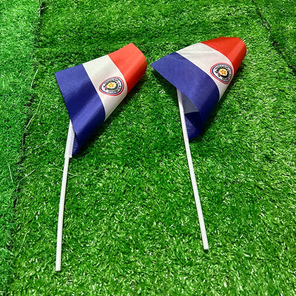 Drapeaux à Main Paraguay